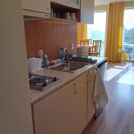 студио * 阿赫洛伊